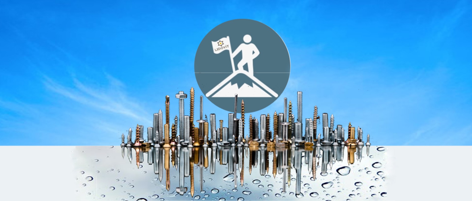 Lidovit Industrial and Trading Joint Stock Company - Benthanh Group